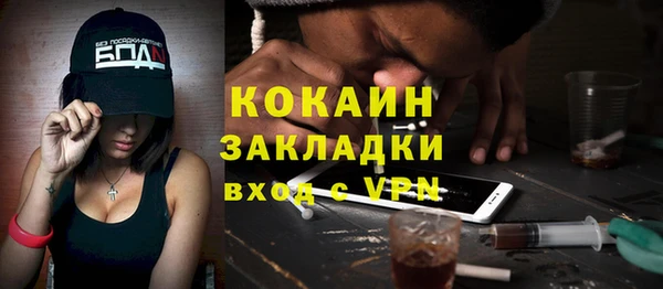 ешки Бородино