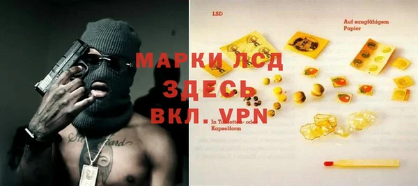 ешки Бородино