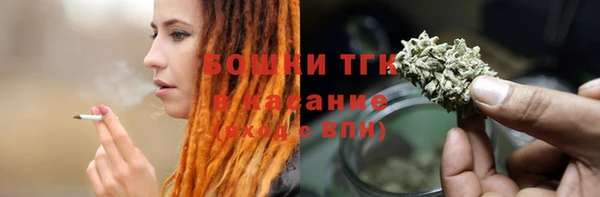 ешки Бородино