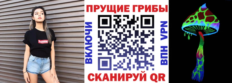 МЕГА зеркало  Лодейное Поле  Псилоцибиновые грибы Cubensis 